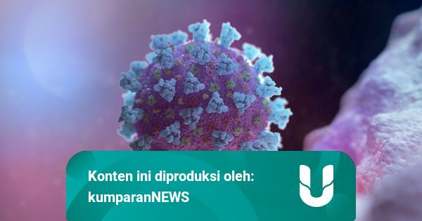  Masyarakat Belanda  Tetap Tenang di Tengah Geger Virus 